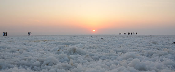 white-rann.html